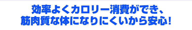 04.gif
